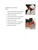 PLASMÓLISIS (CELULA VEGETAL).