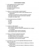 Cuestionario KAIZEN