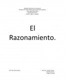 EL GRAN RAZONAMIENTO, LOGICA EXPOSION.