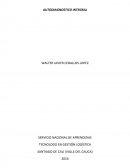 Autodiagnóstico integral.