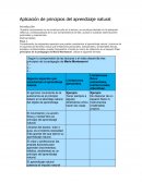 Aplicación de principios del aprendizaje natural