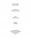 Informe de laboratorio de bacterias y hongos