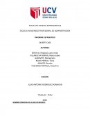 INFORME ESTADISTICO. DIVERTI-CASE