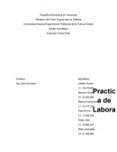 Un Mortero es una mezcla de un aglomerante con agua.