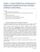 TEMA 1: CARACTERÍSTICAS GENERALES Y PRINCIPIOS NORMATIVOS DEL SISTEMA JURÍDICO-CONCURSAL