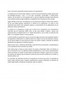 Importancia de la teoría en la arquitectura.