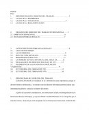 Antecedentes del derecho del trabajo. CREACION DEL DERECHO DEL TRABAJO INTERNACIONAL