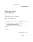 Se informa que de los pases de visitas la cinta de portar está en un muy mal estado..