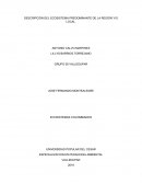 DESCRIPCIÓN DEL ECOSISTEMA PREDOMINANTE DE LA REGIÓN Y/O LOCAL..