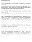 MIEMBRO INFERIOR: OSTEOLOGIA