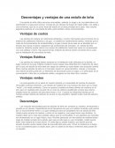 Desventajas y ventajas de una estufa de leña.