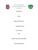 Ensayo world press photo