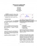 PRÁCTICA DE LABORATORIO CURVA DE HISTÉRESIS