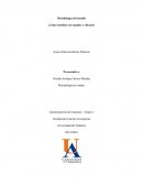 Tema* Metodologia de estudio.