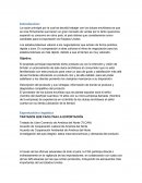 Los estadounidenses valoran a los negociadores que actúan de forma práctica, rápida y dura