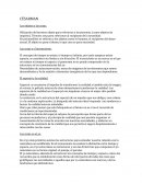 CÉSARMAN Los objetos y las cosas.