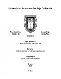 Modelo de consulta o couseling.. Página 1