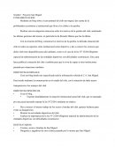 San Miguel Proyecto.