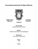 Modelo de consulta o couseling.