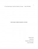 Idea de negocio: estudio de la industria y el mercado