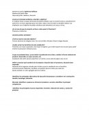 ¿Cuál es el principal problema a abordar y objetivo?