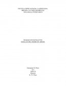 HUELLAS DEL NEGRO EN ARUBA