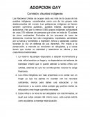 Adopcion gay. Comisión: Asuntos Indígenas