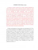 Informe Técnico de Electricidad