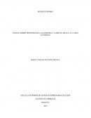 MICROECONOMIA ENSAYO SOBRE PRINCIPIOS DE LA ECONOMIA Y COMO SE APLICA A LA VIDA COTIDIANA