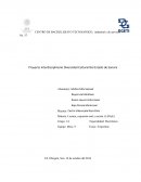 Diversidad cultural en el estado de sonora.