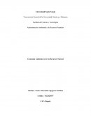 Economía Ambiental y de los Recursos Natural
