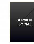 Servicio Social.