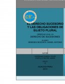 DERECHO SUCESORIO Y LAS OBLIGACIONES DE SUJETO PLURAL