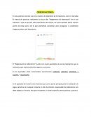 El “Reglamento de laboratorio”