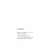 El éxito es un camino, no un fin