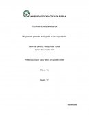 Obligaciones de brigadas.