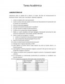 Laboratorio sobre el capítulo #3: La Renta y El Gasto. Del libro de macroeconomía de Bornbusch-Fischer- Startz, 6ta y 7ma edición, responda lo siguiente