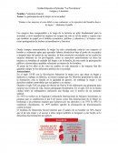 Tema- La participación de la mujer en la sociedad.