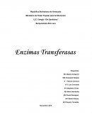Las Enzimas Transferasas.