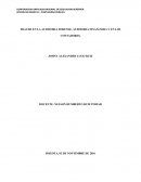 FRAUDE EN LA AUDITORIA FORENSE, AUDITORIA FINANCIERA Y EN LOS CONTADORES..