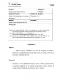 Evidencia 3. Gestión de transportes, inventarios y almacenes.