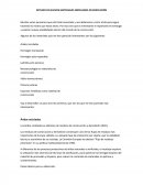 Nuevos materiales empleados en edificación.