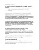 Relación entre diseño organizacional y el tamaño y giro de la empresa