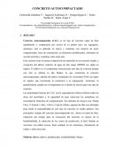 CONCRETO AUTOCOMPACTANTE.