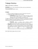 Tema de MARTIN FIERRO.