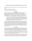 Alta capacidad de contagio del Virus del Papiloma Humano (VPH) en Caucasia