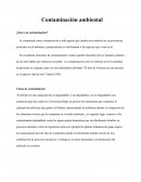 LA CONTAMINACIONAMBIENTAL EN LOS TIEMPOS ACTUALES .