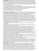 Tema- CIENCIAS COGNITIVAS.