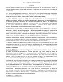 ¿Qué se entiende por alfabetización?.