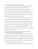 En que alimentos se encuentra el hidrogeno